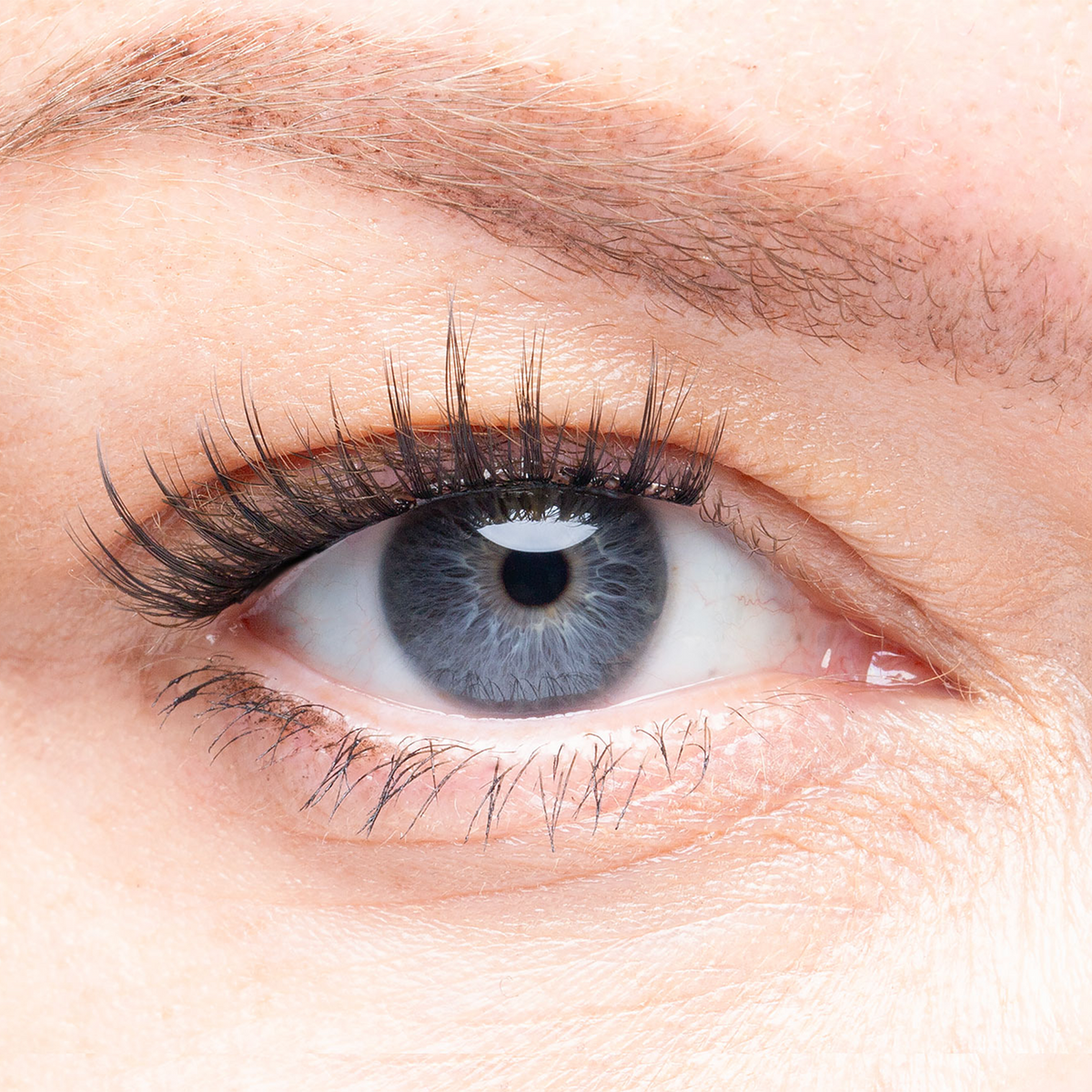 Seoul pre glued lash clusters