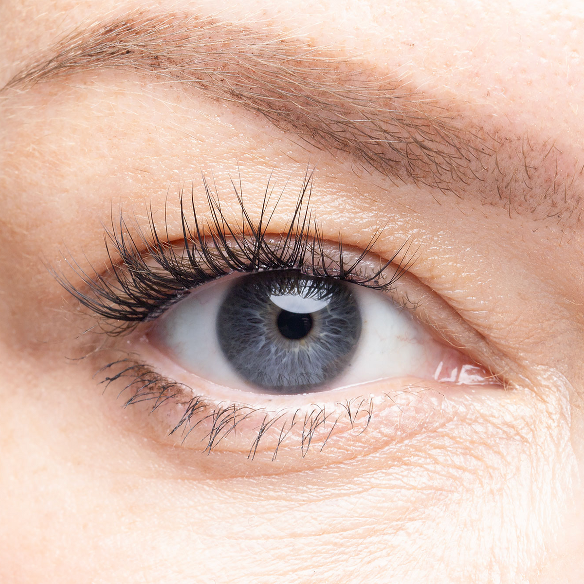 Stockholm pre glued lash clusters