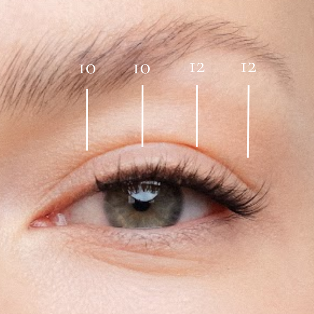 Seoul - Pre-Glued Lash Clusters