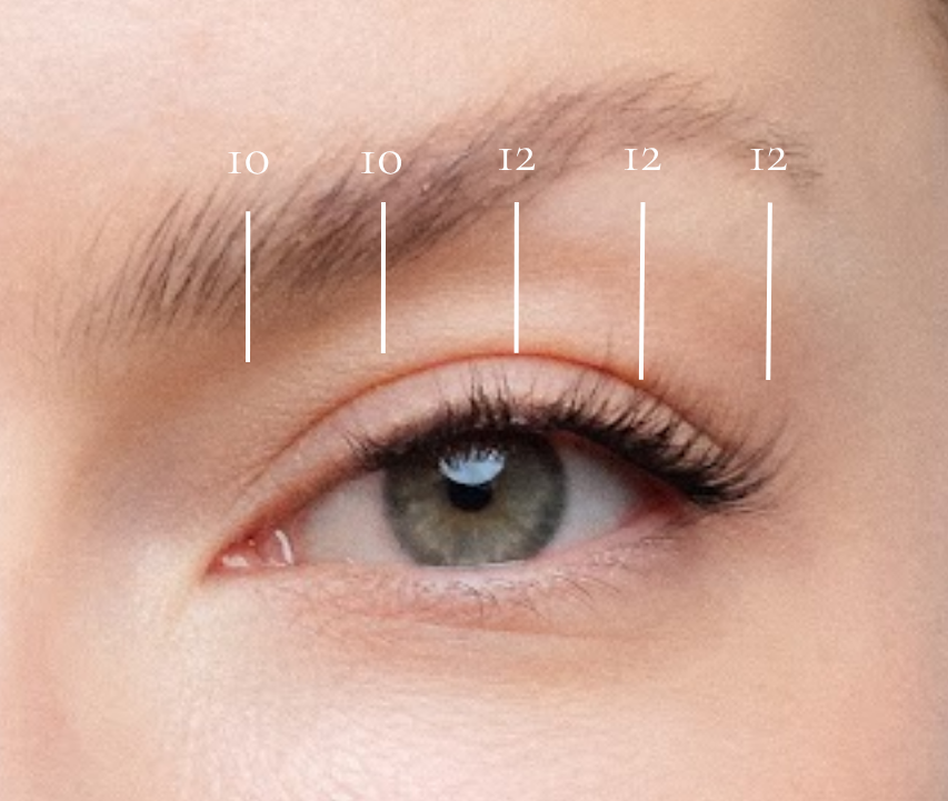 Stockholm - Pre-Glued Lash Clusters