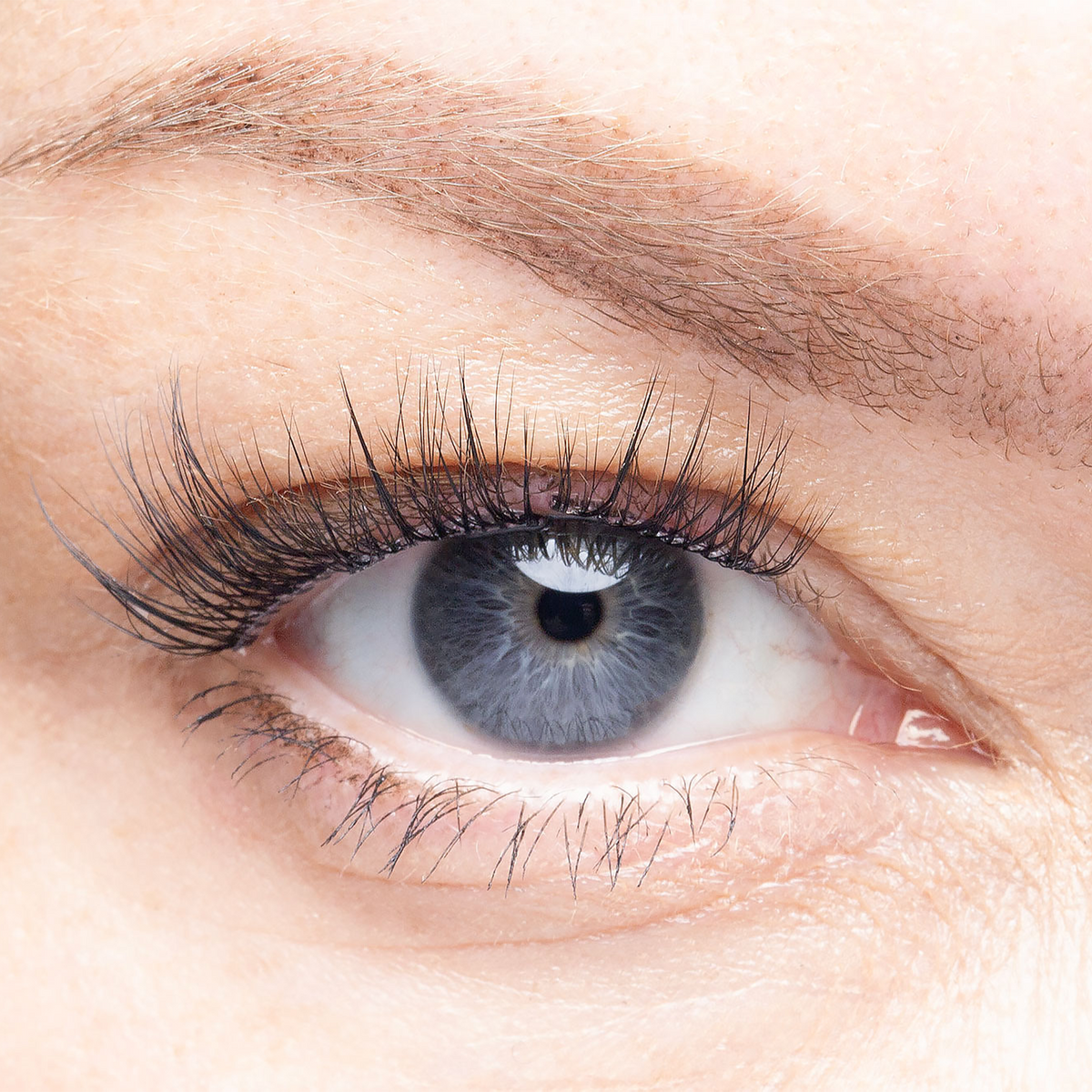 Warsaw   pre glued lash clusters