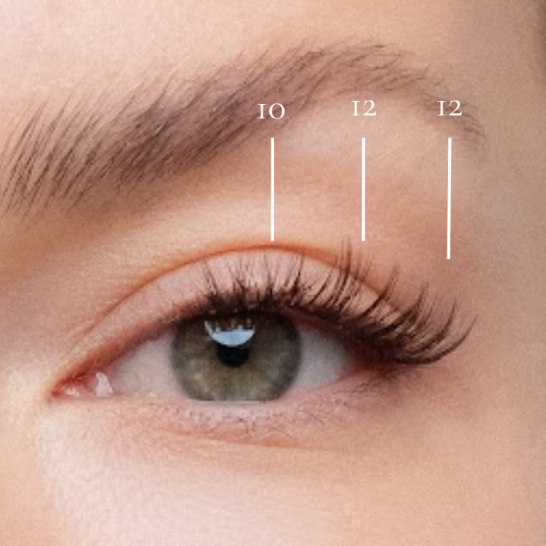 Barcelona - Pre-Glued Lash Clusters