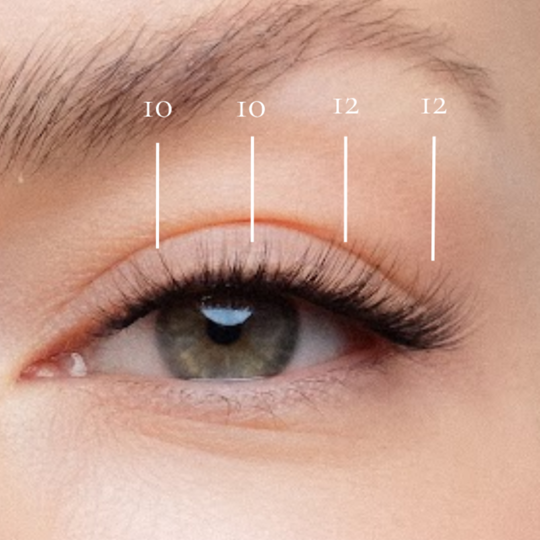 Miami - Pre-Glued Lash Clusters