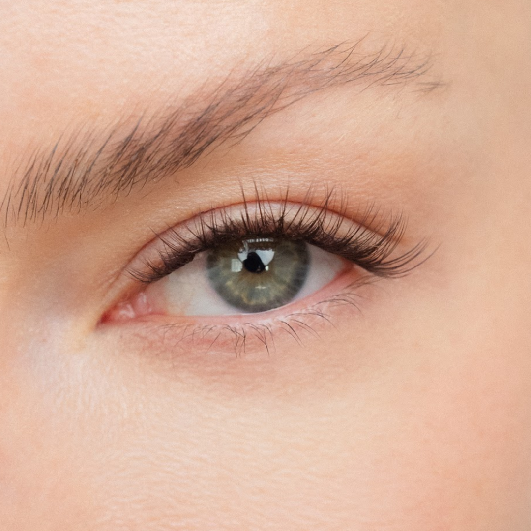 Paris - Pre-Glued Lash Clusters