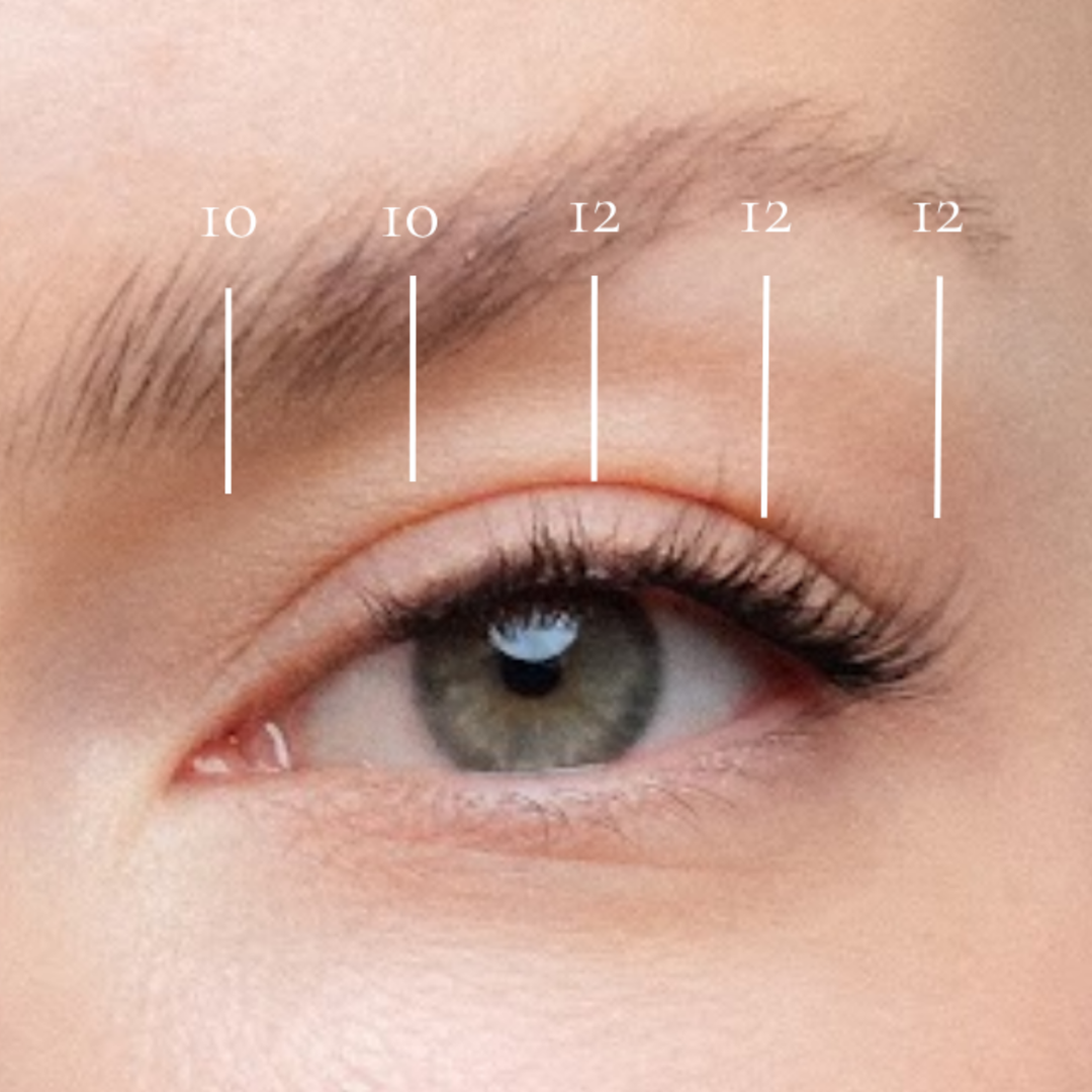 Stockholm - Pre-Glued Lash Clusters
