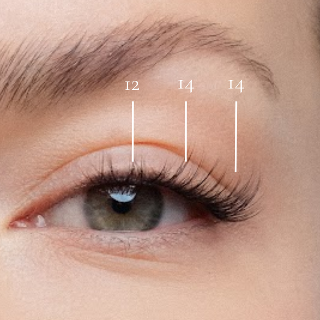 Warsaw - Pre-Glued Lash Clusters